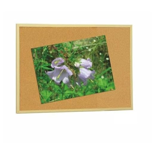 Tablero De Corcho Faibo Madera 60 X 90 Cm