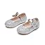 Ck511 Silver