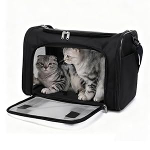 HOCLAUHO Tragbare Haustiertasche für draußen, Hunde transporttasche faltbar und atmungsaktiv, große Kapazität für Zwei kleine Katzen, Autoreise Tragetasche für Katze und Hund (Helles Schwarz)