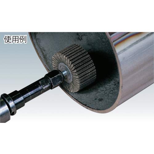 AF801580 Flap Wheel (Shaft Diameter 0.2 inches (6 mm)