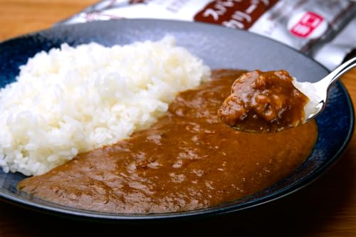 スパイシーカリー辛口(レトルト) 300g×6袋