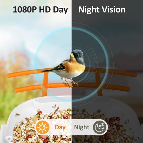 Kidken Bird Feeder with Camera, Smart Bird Feeder Camera Bird Box Camera Wireless, Auto Capture Record Bird Videos & Instant App Notifications, WiFi Bird Watching Camera with Solar Panel, Orange