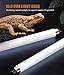 MouMouPurr 3 Pack T5 10.0 UVB Reptile Light Bulb 24W 22 Inch - UVA/UVB Lamp for Bearded Dragons, Chameleons, Turtles, Tortoises & Lizards - Desert & Tropical Reptiles