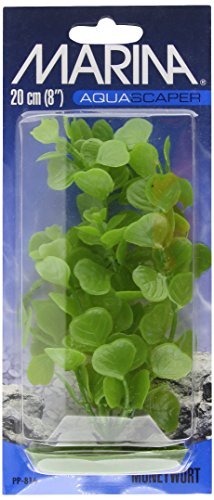 Marina Aquascaper Medium Moneywort Plant, 8-Inch #TOP27
