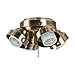Craftmade Lighting F405-AB-LED Universal - 6.5 Inch 36W 4 LED Medium Base Fitter, Antique Brass Finish