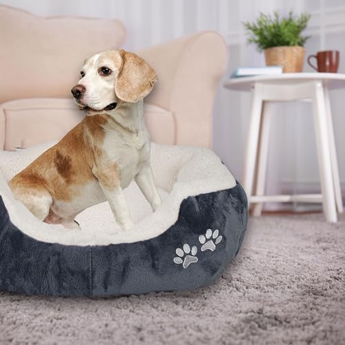Domarex Hundebett Katzenbett 57x52x16 cm weich und flauschig - gemütliches Haustierbett mit erhöhtem Rand - Anti-Rutsch-Boden - robust, pflegeleicht - Kuschelbett für Hund & Katze - Weiß/Grafit