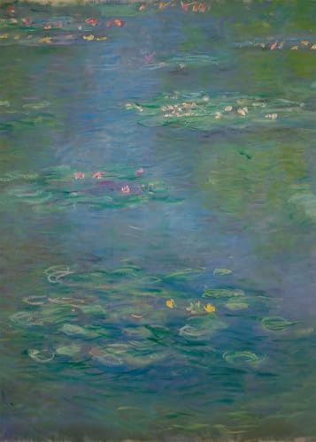 Poster Affiche Décorative Monet Nymphéas Graffiti Style pour Rénover un Mur Blanc