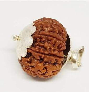 Gemz Mine Real 9 Faced Rudraksh 9 Mukhi Rudraksha Certified Durga Maa Rudraksha Nepali Nau Mukhi Rudraksh Nine Mukhi Rudraksha Navmukhi Rudraksha For Wearing Men & Women