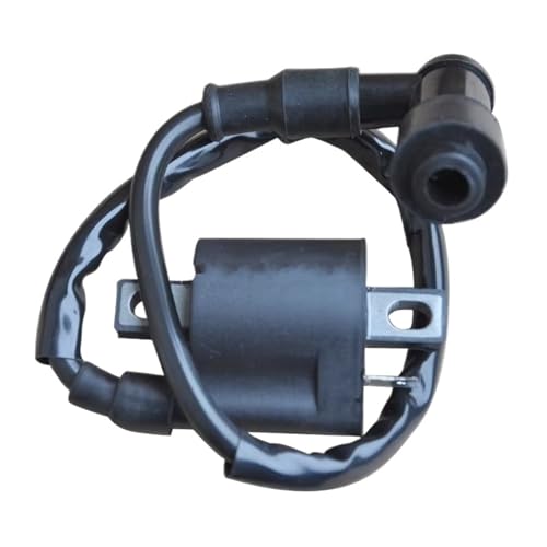 Bobina de encendido de repuesto para motos PW80, YZ80 y RX50 de dos tiempos