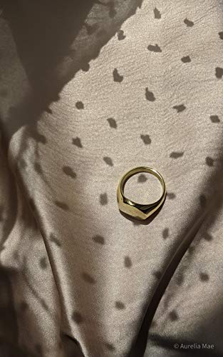 Aurelia Mae AM-2020-R-6-OVAL-S6 18K Gold Plated Big Oval Signet Ring Chunky Gold Ring Womens Large Statement Chevalier Ring thumb #5