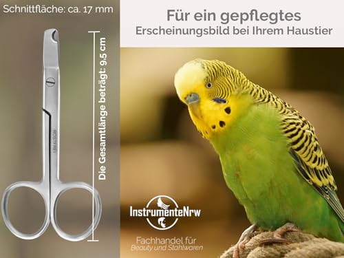 Krallenschere Wellensittiche Krallenzange Vögel gerader Krallenschneider 9,5 cm - Krallen kürzen von Papageien Sittiche Kleintiere - Rostfreier Edelstahl - Markenqualität vom Fachhandel