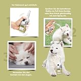 animigo Anti Juckreiz Spray - 250ml Fellpflege - Für Hunde & Katzen - Mit Aloe Vera, Teebaumöl, Nelkenöl, Glyzerin, Rizinusöl, Hexandiol - Für alle Altersgruppen - Hundespray gegen Juckreiz