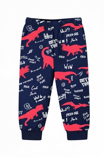 Image of Trampoline Boys Terry Loop T-Shirt & Trackpant Set | Soft & Warm Dinosaur Printed Co-ord for Boys