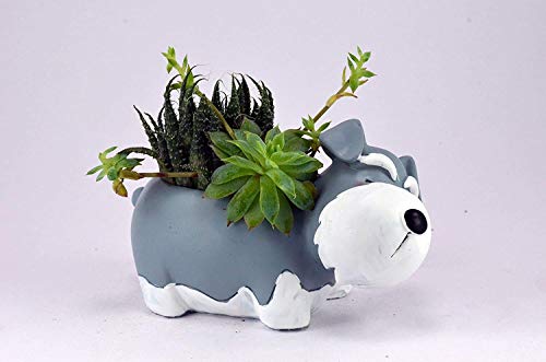 Image of Resin Pots Planter Combo Set of 6 Animals Shape Resin Succulent Pot Succulent Planter Flower Pots Indoor Container for Garden and Office Table (Set of 3 Animals)