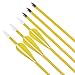 Elong Fiberglass Arrows Archery 26 Inch Yellow ShootingTargeting Recurvebow for Youth Kids Children Beginner Safe Point(12pcs)
