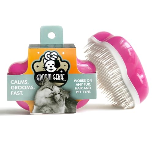 Home Small Dog Essentials