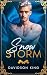 Snow Storm (Haven Hart)