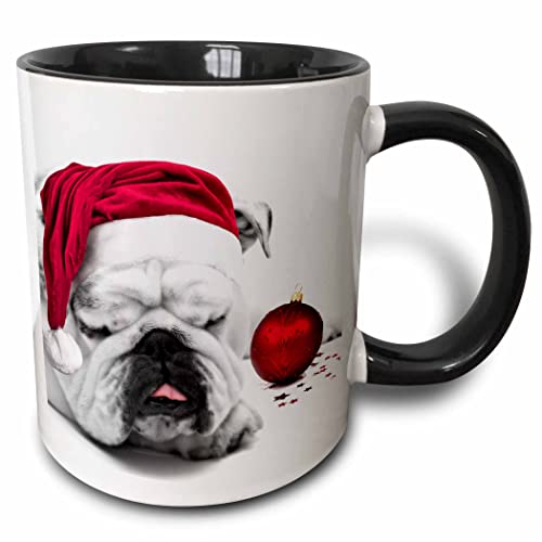 3dRose Sleeping Bulldog in a Santa Hat Christmas Card photo courtesy of Esther Matheus 11oz Two-Tone Black Mug