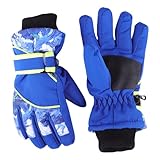 HinyBoeh Boys Winter Snow Gloves Kids Windproof Cold Weather Ski Gloves with Thick Plush for 4-7Years