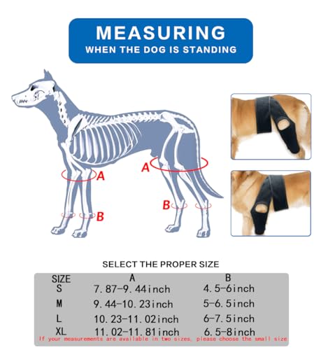 Image of Dog Knee Brace, Dog Leg Brace with 10 Stabilizers, Adjustable Dog Knee Brace for Torn Acl Hind Leg, Joint Pain, Kneecap Dislocation, Cruciate Ligament Injury and Muscle Sore, XL