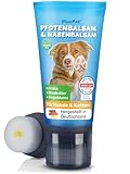 BluePet Pfotenbalsam Hund 50ml – Pfotenpflege Hund gegen trockene & rissige Pfoten und Nase – Natürlicher Schutz & Pflegebalsam für Hunde