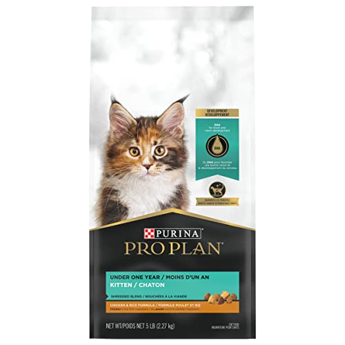 Top 10 Picks of Purina Pro Plan Shredded Blend Cat Food Your Ultimate