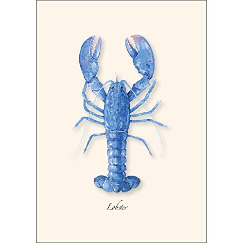 Image of Earth Sky + Water - Lobster Assortment Notecard Set - 8 Blank Cards with Envelopes (4 each of 2 styles)
