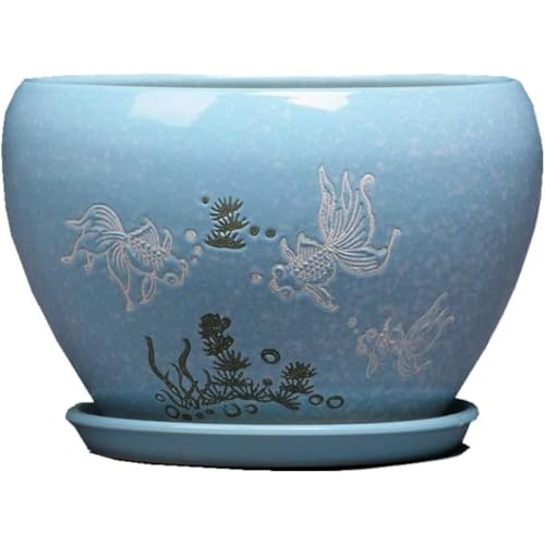 AKILERCeAǃZ~bNVvȃAgEAReiJtȃ[܂̓peBIΐAԕr (19cm*14.5cm,u[)