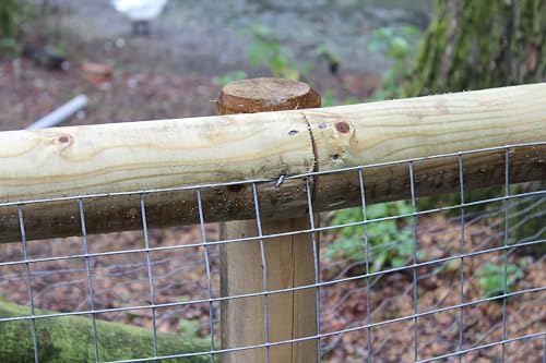 Suregreen Round Fence Posts | 1.5m (5ft) x 50mm | Pack of 10 Green Treated Wooden Stakes for Fencing, Tree Support, Garden Borders & Landscaping Projects