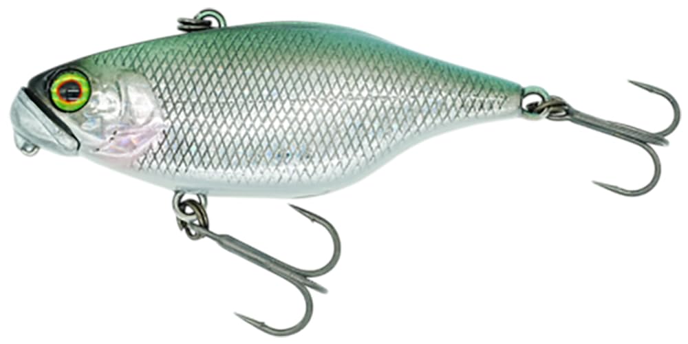 ディスタイル(Dstyle) TN60 TypeD RS