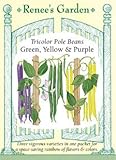 Bean, Pole, Tricolor