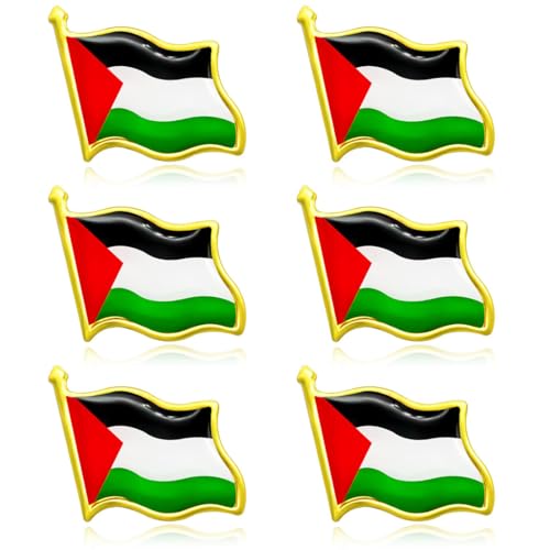 KOQAIIZ 6 Pezzi Bandiera Palestina Badge, Palestine Nazionale Pin, Palestinese Lapel Badge
