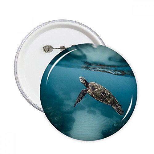 Sciences de tortue de mer image ronde badges pour personnaliser vos sacs a dos et vestes