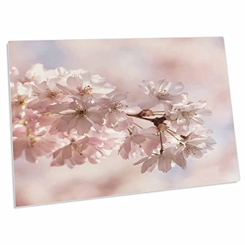 3dRose Pad Rosa de Flores de Cerezo para Escritorio