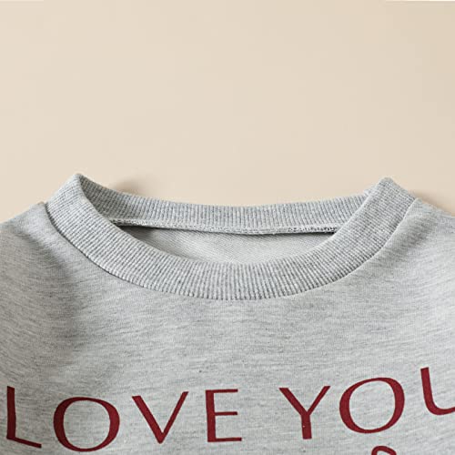 Birthday Shirt for Toddler Baby Boy Girl Crewneck Sweatshirt Letter Print Long Sleeve Pullover Top Fall Clothes (Grey, 12-18 Months)2