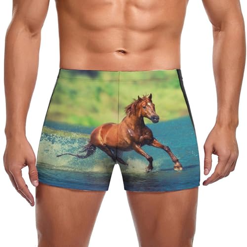 Slip de bain marron pour homme avec coupe boxer confortable et short de natation
