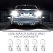 Teybouk 10 PCS T10 Tail Light Bulb, 12V 5W High-brightness Halogen Bulb, Vehicle Instrument Panel Lights Parking Lights, Universal for Most Cars, Trucks, SUVs (White)