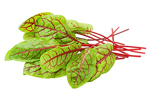 AllThatGrows Red Veined Sorrel Seeds - 300 Seeds (B091XVVXJ5) Amazon Price History, Amazon Price Tracker