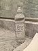 Bean & Lily Floor Cleaner - Cedar & Cypress - 24 oz - pH Neutral Natural Floor Cleaner - Pet-safe