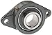 NTN UCFLX05-100D1 Medium Duty Flange Bearing, 2 Bolts, Setscrew Lock, Regreasable, Contact Seals, Cast Iron, 1" Bore, 4-39/64" Bolt Hole Spacing Width, 3-9/32" Height