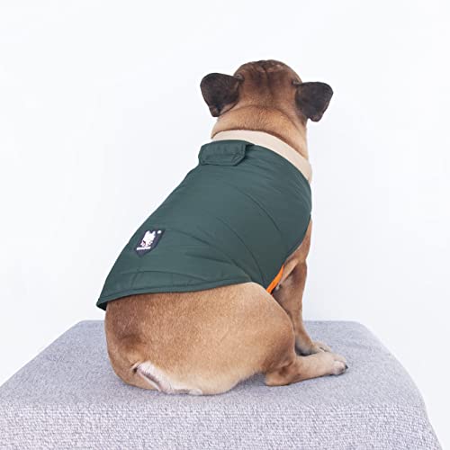 iChoue French Bulldog Frenchie Winter Coats Dog Jackets Cotton Padded Vests for Pug English Boston Terrier Pitbull – Green/Medium iChoue French Bulldog Frenchie Winter Coats Dog Jackets Cotton Padded Vests for Pug English Boston Terrier Pitbull – Green/Medium