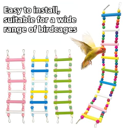 Escada de escalada de madeira, contas de madeira coloridas, escada de escalada, periquito, brinquedo