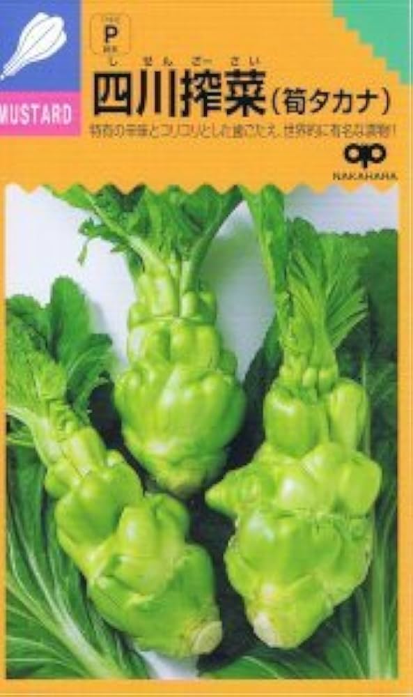 Amazon | 【種子】四川搾菜 約200粒 | 野菜