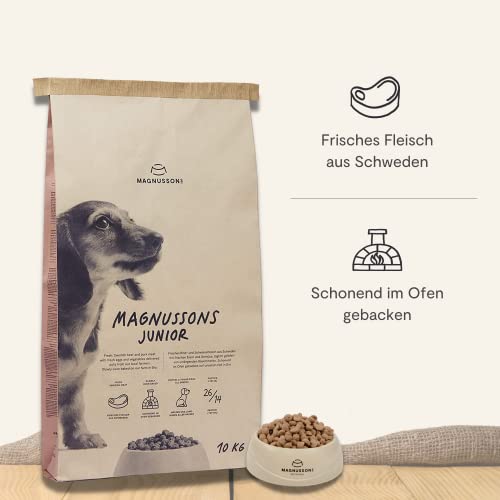 MAGNUSSONs Junior (1 x 10kg) | Hundetrockenfutter für Welpen und trächtige Hündinnen Aller Rassen | Alleinfuttermittel | Hoher Anteil an frischem Fleisch | Ofengebacken