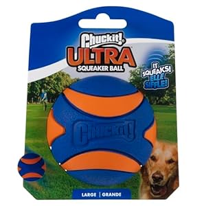 Chuckit Ultra Squeaker Ball Dog Toy Large 3 Inch 1 Pack for Large Breeds  Cucciolini Doodles Chuckit ultra squeaker ball dog toy large 3 inch 1 pack for large breeds   cucciolini doodles