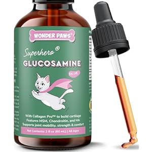 Premium Liquid Glucosamine for Cats – with Collagen, Glucosamine, Chondroitin, MSM, Taurine & Hyaluronic Acid – Cat Joint Support, Mobility & Flexibility – Hip & Joint Cat Supplement – 2oz