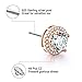 18K Gold Plated Halo Stud Earrings CZ Simulated Diamond Round Earing for Women,Rose Earrings for Man,Sparkle Allure Earrings with Size 0.39inch,in Rose Gold