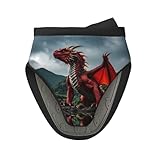 majestic red dragon tips Utilisation polyvalente : adaptés à diverses applications, ces gants de four Majestic Red Dragon sont parfaits pour une utilisation avec des fours, des casseroles, des grilles et des plats chauds. Ils sont également parfaits pour le camping et les grillades en plein air, ce qui en fait un complément polyvalent à votre cuisine