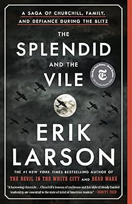 Cover of The Splendid and the Vile