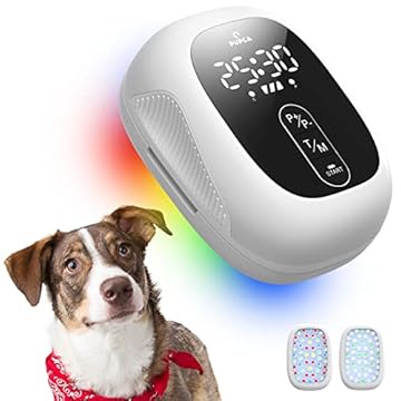 portable laser therapy for dogs